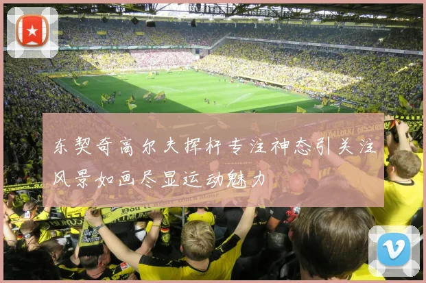 东契奇高尔夫挥杆专注神态引关注风景如画尽显运动魅力